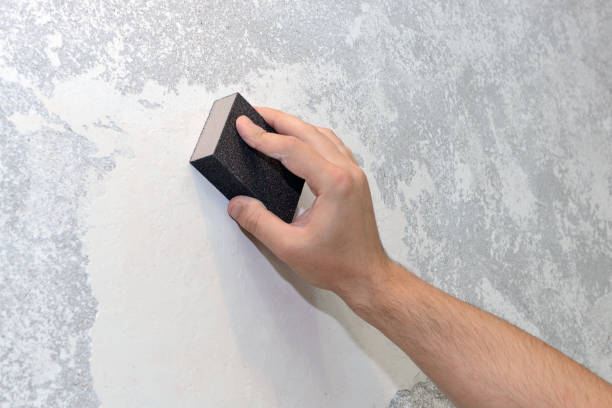Best Mold Documentation for Insurance Claims  in Tusculum, TN