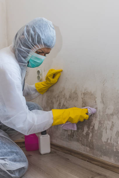 Best Commercial Mold Inspection  in Tusculum, TN