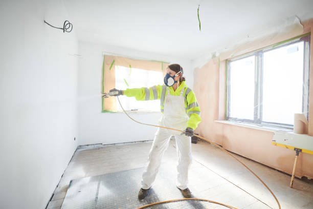 Best Mold Damage Restoration  in Tusculum, TN