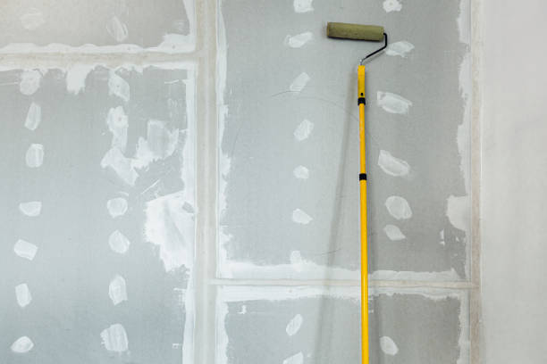 Best Residential Mold Inspection & Testing  in Tusculum, TN