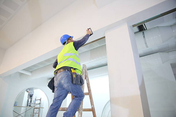 Best Emergency Mold Remediation  in Tusculum, TN